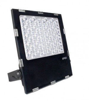 100W RGB+CCT LED Garden Light