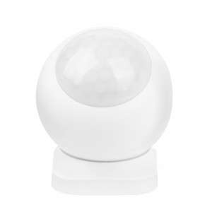 PIR Sensor 2,4GHz