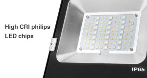 30W RGB + CCT LED Schijnwerper